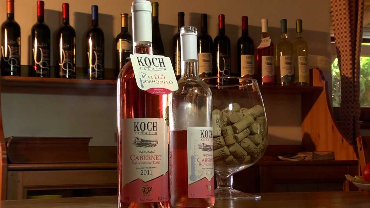 Koch Borászat - Borota - Hajós-Bajai borvidék