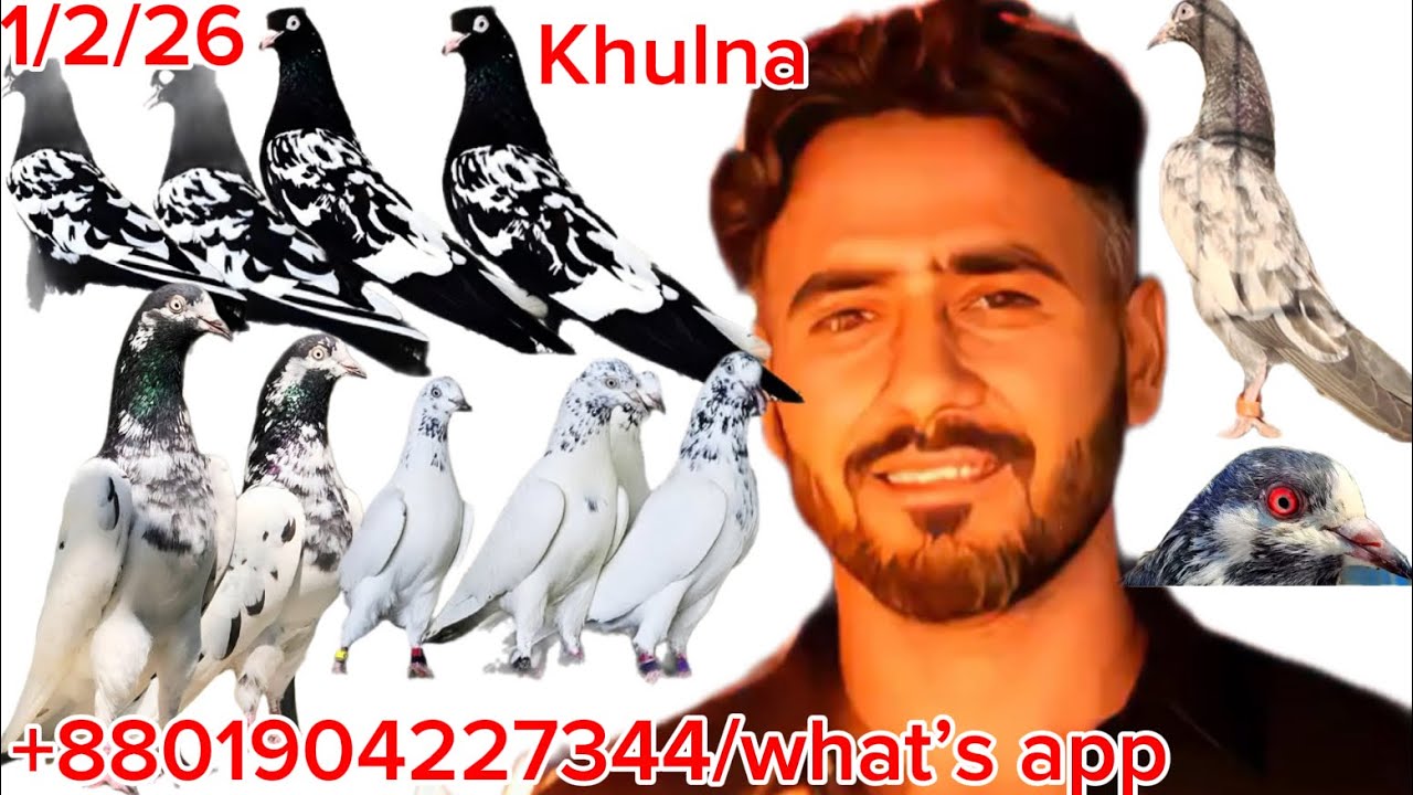 1/2/26/ ইমপোর্ট লাইনের বেবি কিনুন টেডি ওমান 128