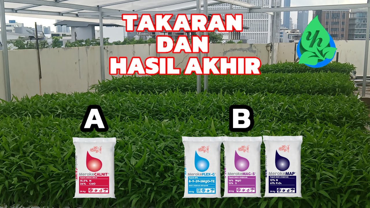 Takaran pemberian pemakaian nutrisi ab mix untuk sayuran daun
