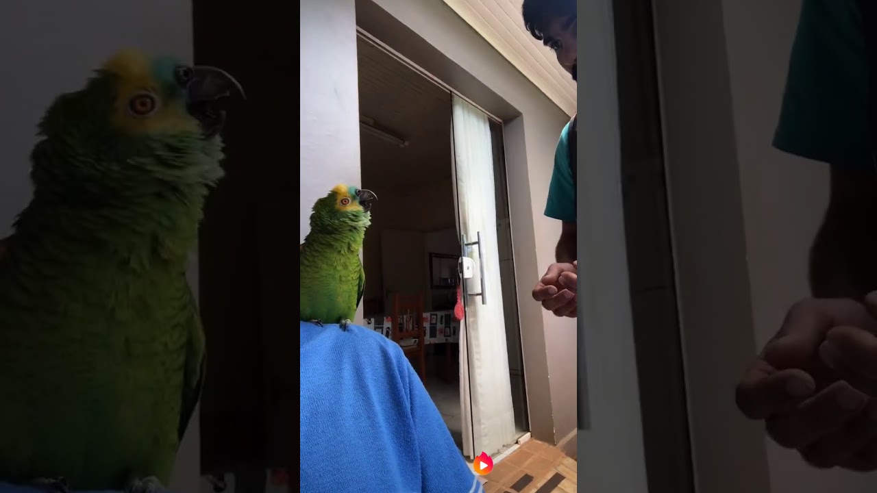 Loro fala n&atilde;o pode, sai Xarope 😂😂
