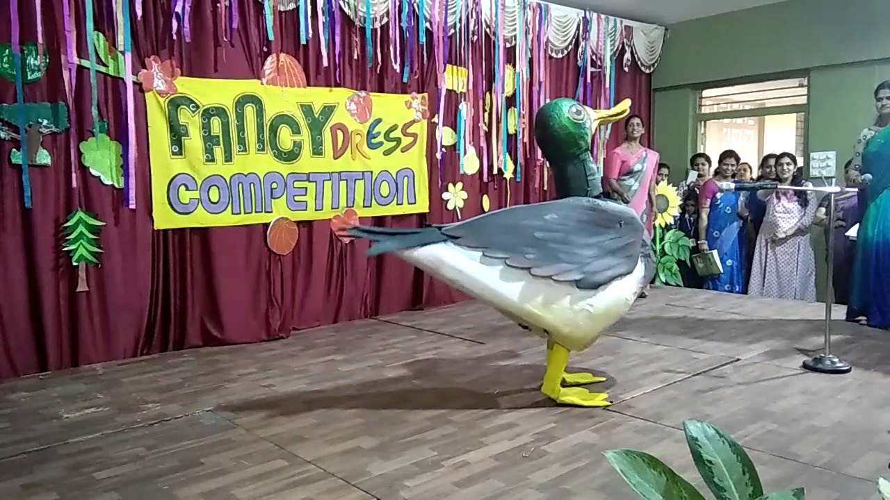 Fancy dress duck
