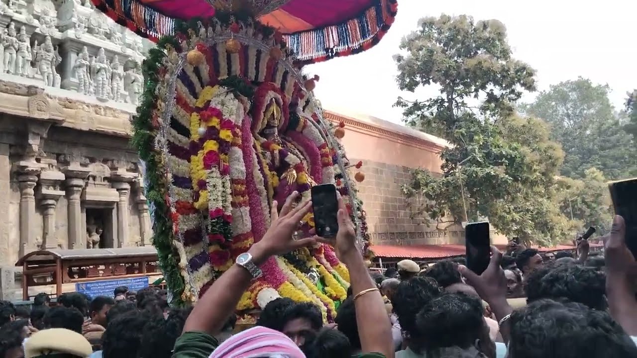 திருவண்ணாமலை ஆருத்ரா தரிசனம்