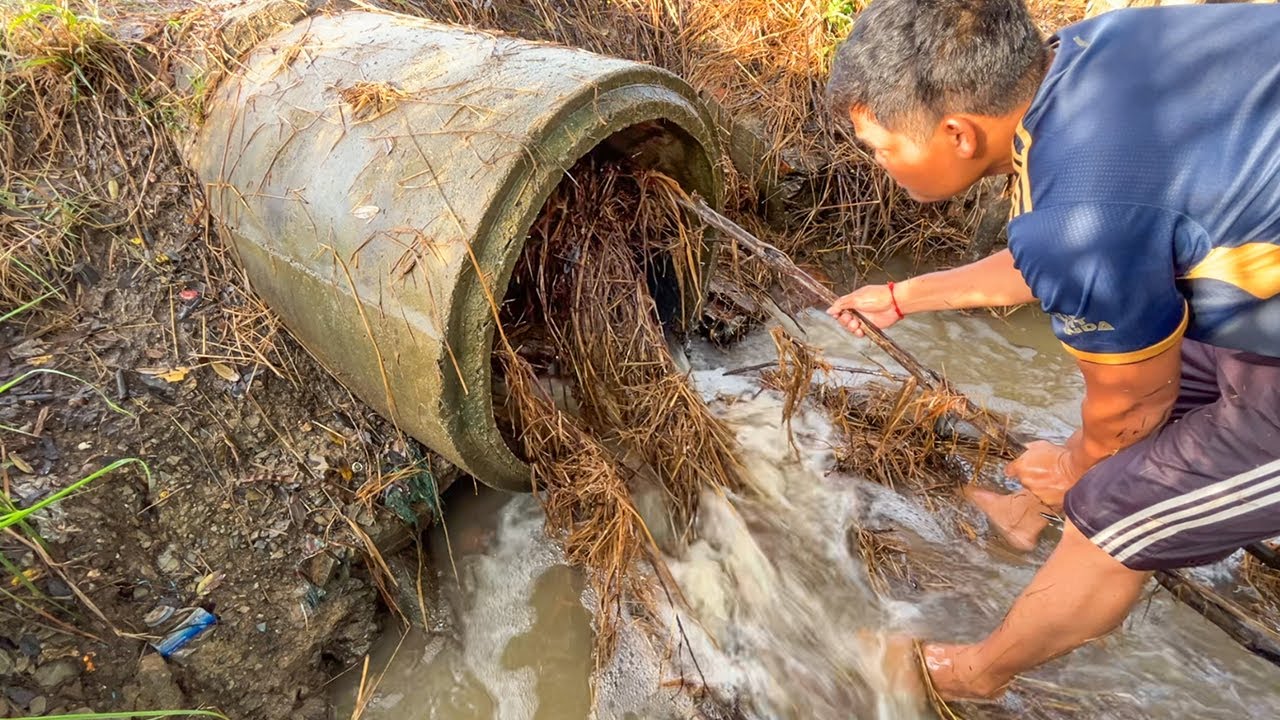 Remove Debris And Branch Of Tree Clogged Culvert Farm