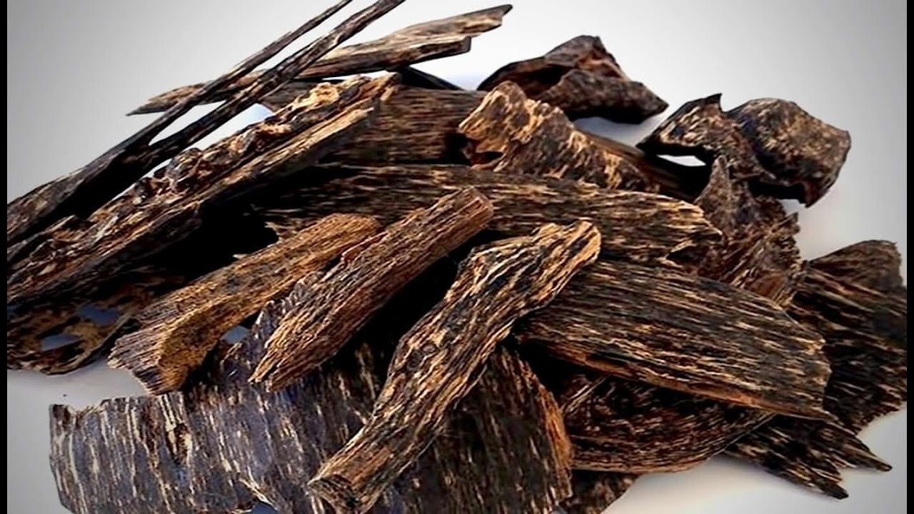 Tại sao Trầm hương lại đắt như vậy ? Cùng xem cách tạo ra