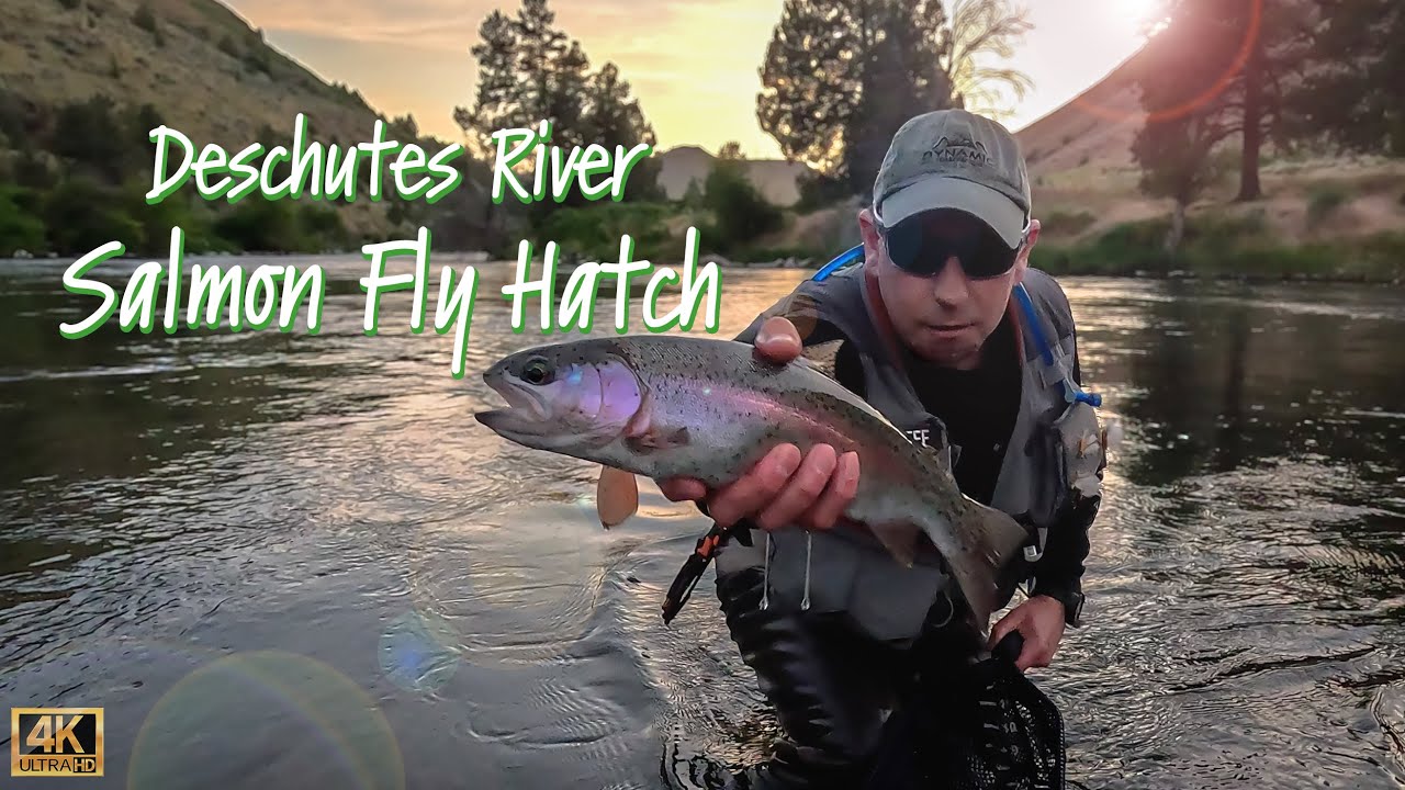 Fly Fishing the 2025 