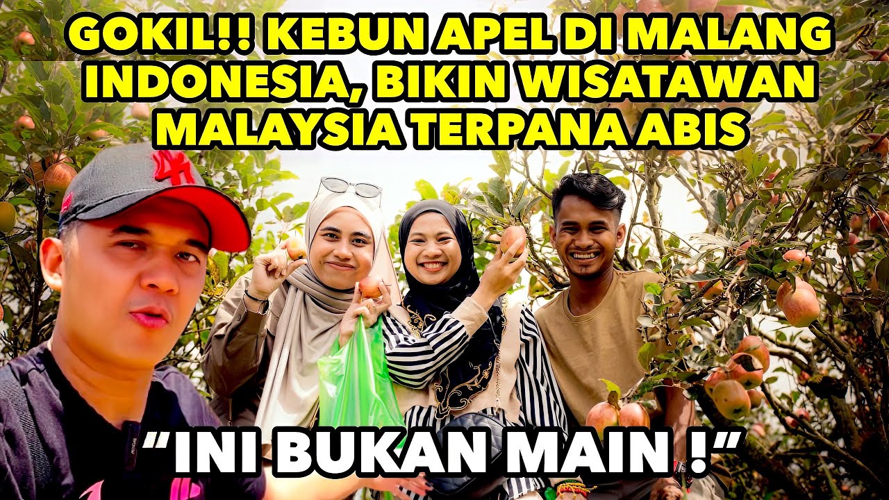 Wuih, Gokil Abis! Kebun Apel di Malang Indonesia Meledakkan, Wisatawan Malaysia Ngeri-ngeri Sedap!