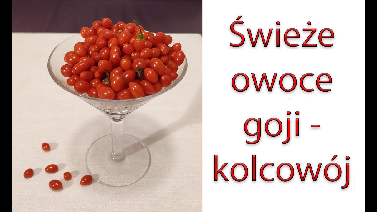 Świeże owoce goji - kolcow&oacute;j