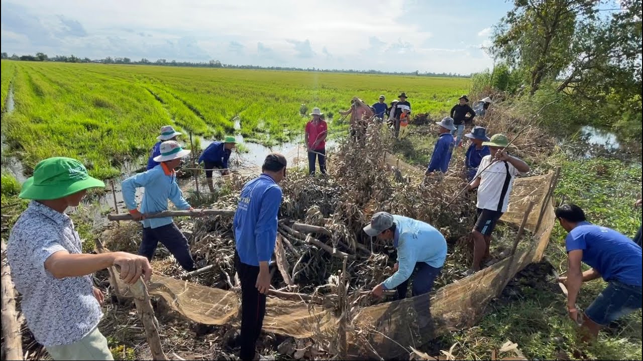 DỠ CHÀ CHUỘT MIỀN TÂY CÙNG ĐOÀN NGƯỜI KHỦNG HOẢNG - TT1496