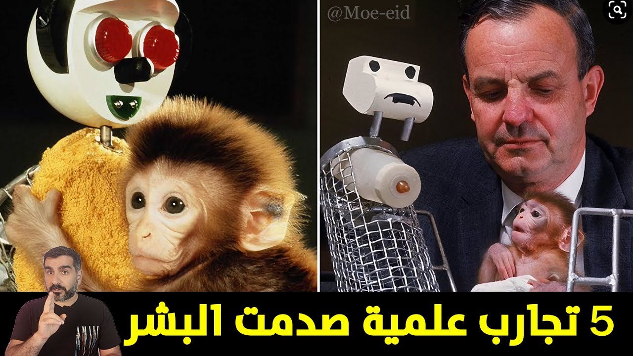 5 تجارب علمية مدهشة صدمت الناس بنتائجها وهزّت علم النفس إلى الأبد!