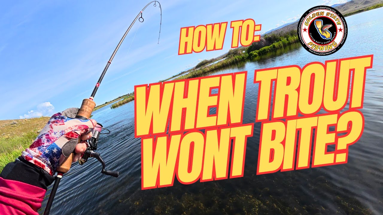 TROUT Fishing - 3 Things You Can Do When The Trout Wont Bite