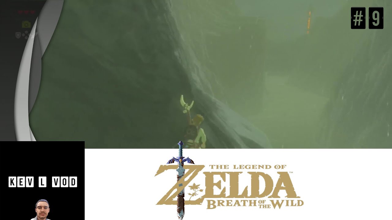 The Legend of Zelda : Breath of the wilde #9