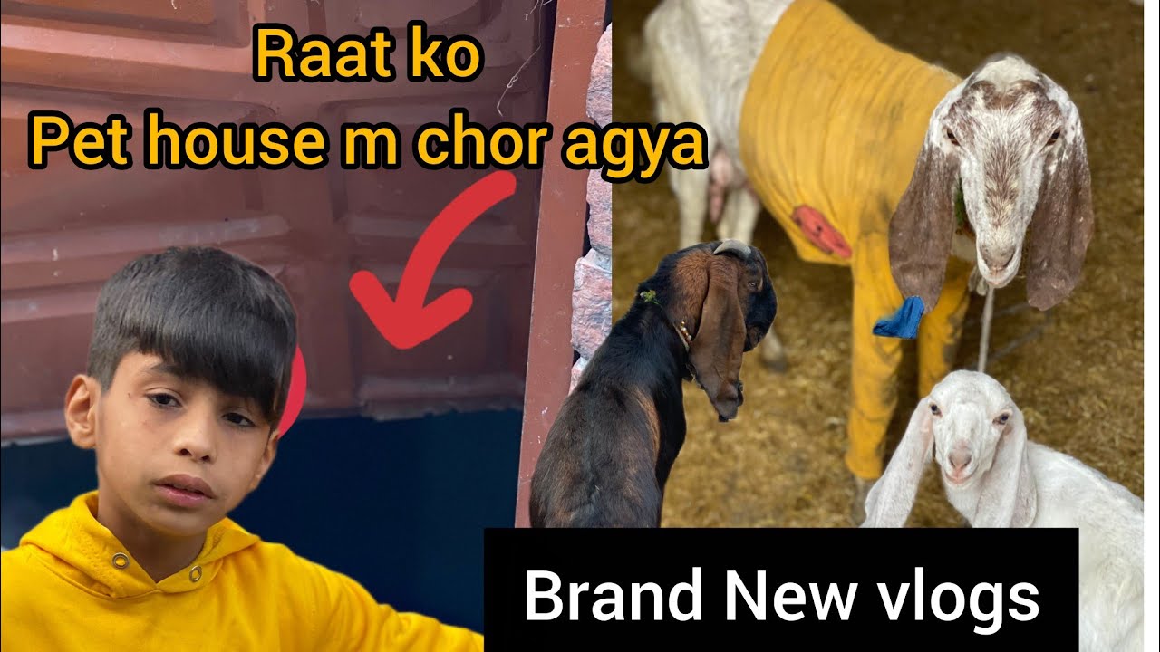 Raaat ko pet house m chor agya Brand New vlogs 