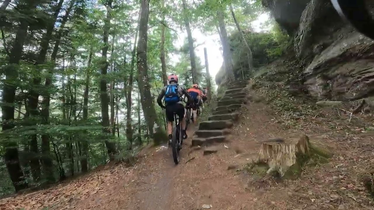 VTT Elsass Bike J2 02.07.2023 (69km, d+1950m)