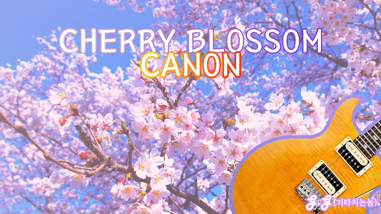 Cherry blossom Canon
