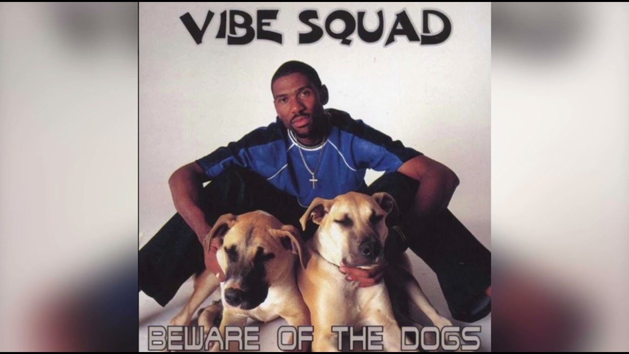 Vibe Squad-Litendo