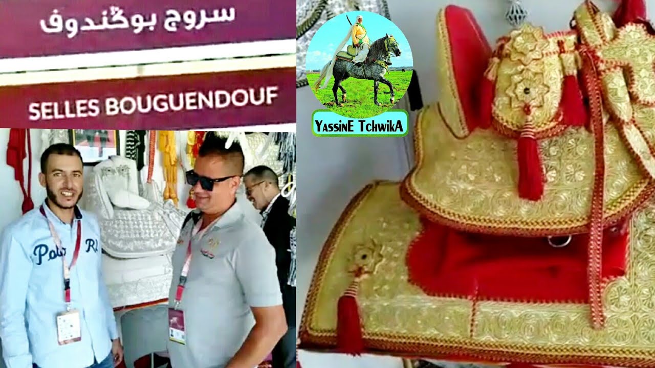 مباشرة من معرض الفرس بالجديدة في ضيافة عند صانع السروج السيد محمد بوغندوف