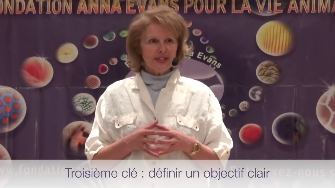 Trois clés pour communiquer intuitivement avec les animaux