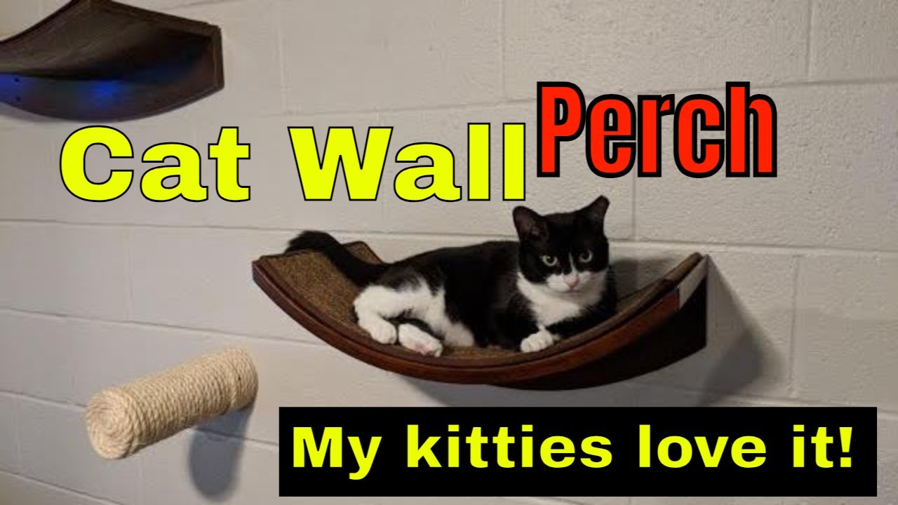 THE REFINED FELINE Lotus Leaf Cat Shelf | diy cat shelf | Cat Shelf wall | #Short