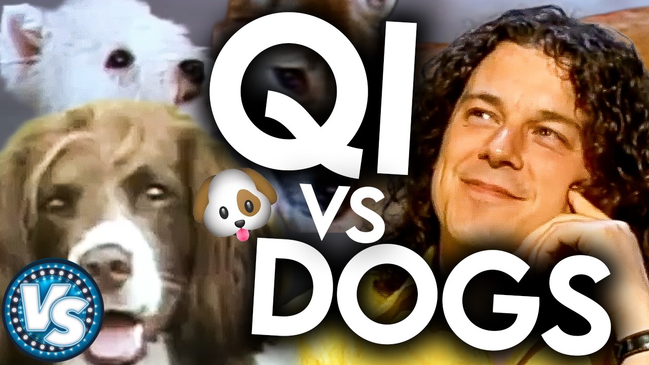 QI vs DOGS! Barking Mad Funny and Interesting Rounds!