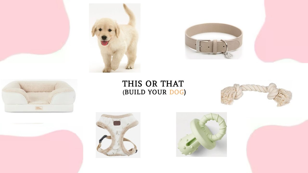 ∘*•🤍 This or that!!🐚 (Build your dog)!! •*∘★🐶