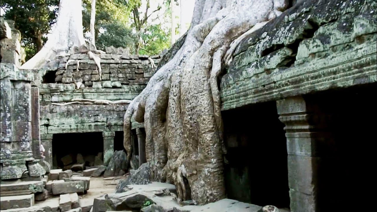 Ta Prohm, Angkor, Cambogia. Un luogo dall'atmosfera unica e misteriosa. HD