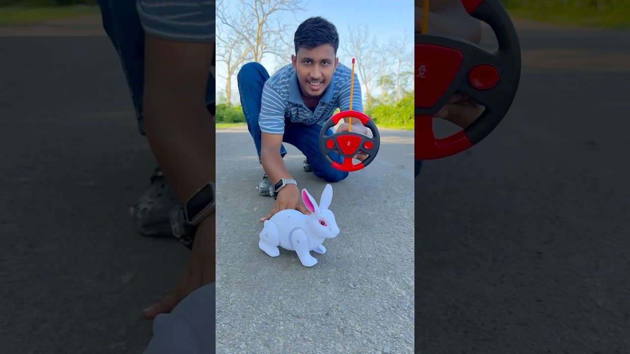 RC Spider Ko Hata k RC Rabbit Hi Hi 😀