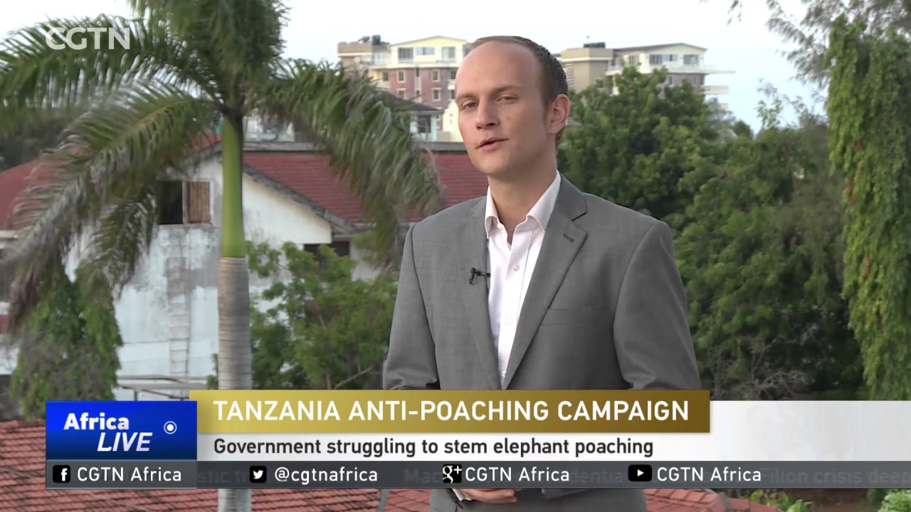 Tanzania sentences elephant poacher to 12 years in prison