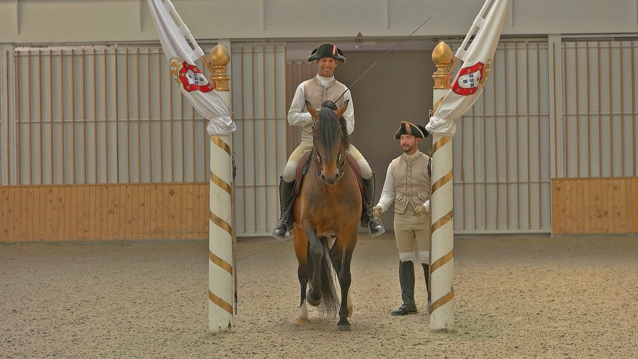 Mornings of  Escola Portugesa de Arte Equestre