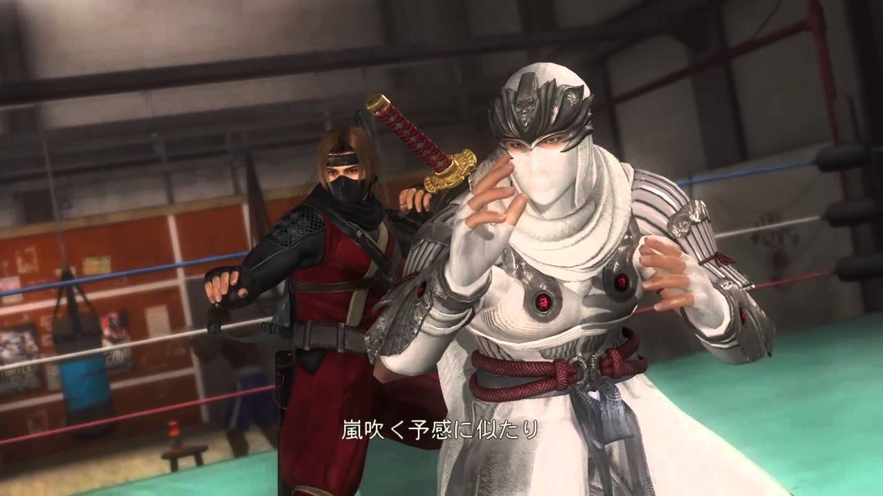 DEAD OR ALIVE 5 Last Roundチーム戦