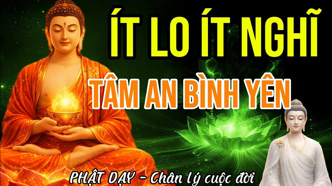 Phật dạy: Khổ Là Vì Ta Kỳ Vọng Quá Nhiều