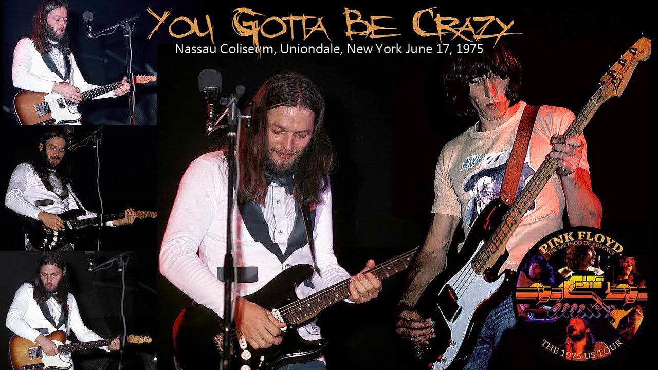 Pink Floyd - You Gotta Be Crazy (1975-06-17) 24/96