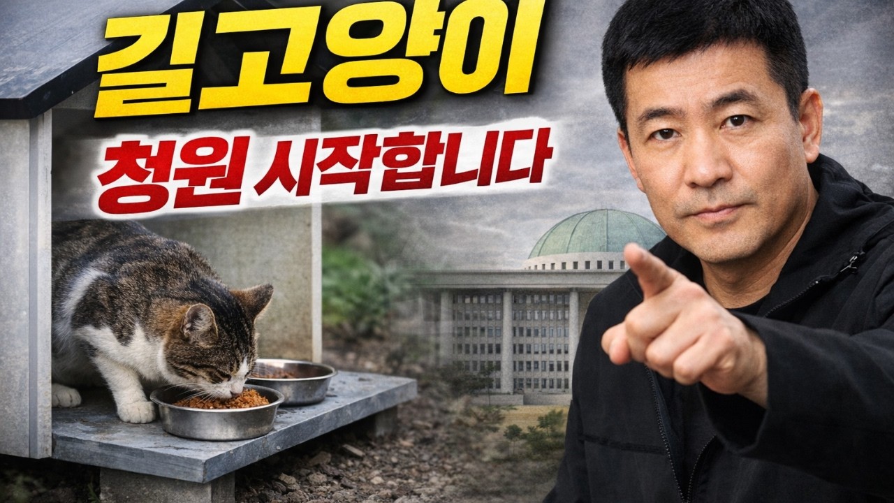 길고양이 갈등을 끝내는 유일한 방법, 1만명과 시작합니다.