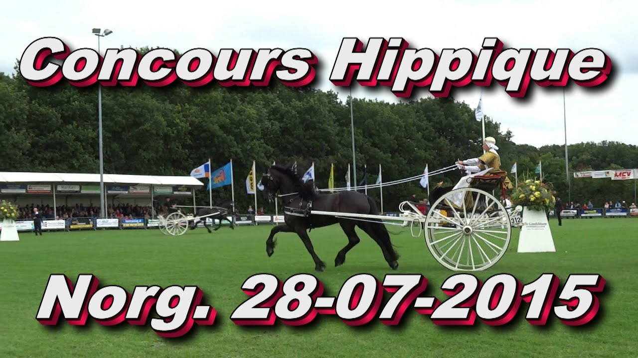Concours Hippique Norg,28 07 2015