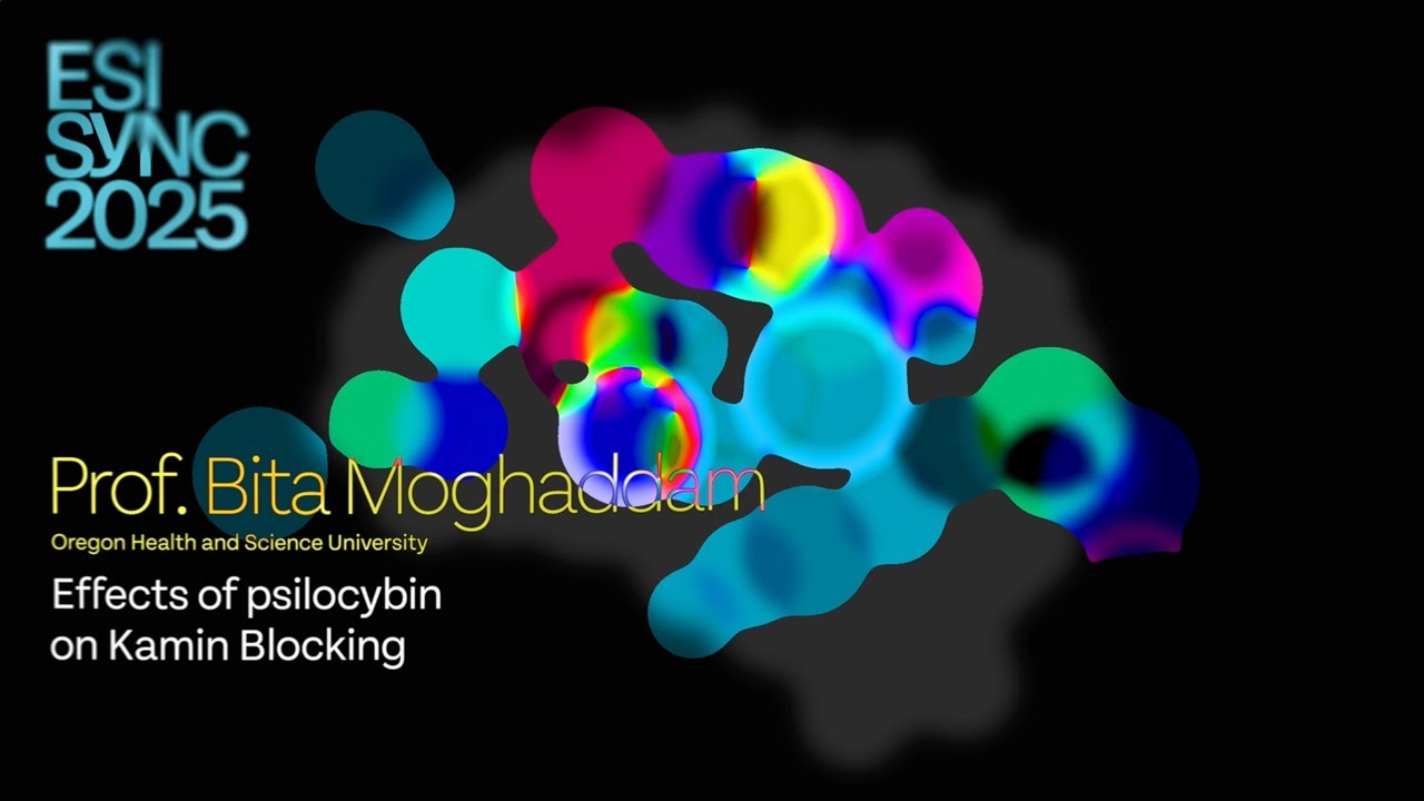 Prof. Bita Moghaddam, Impact of Psilocybin on Kamin Blocking