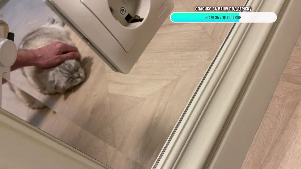 Добрый вечер