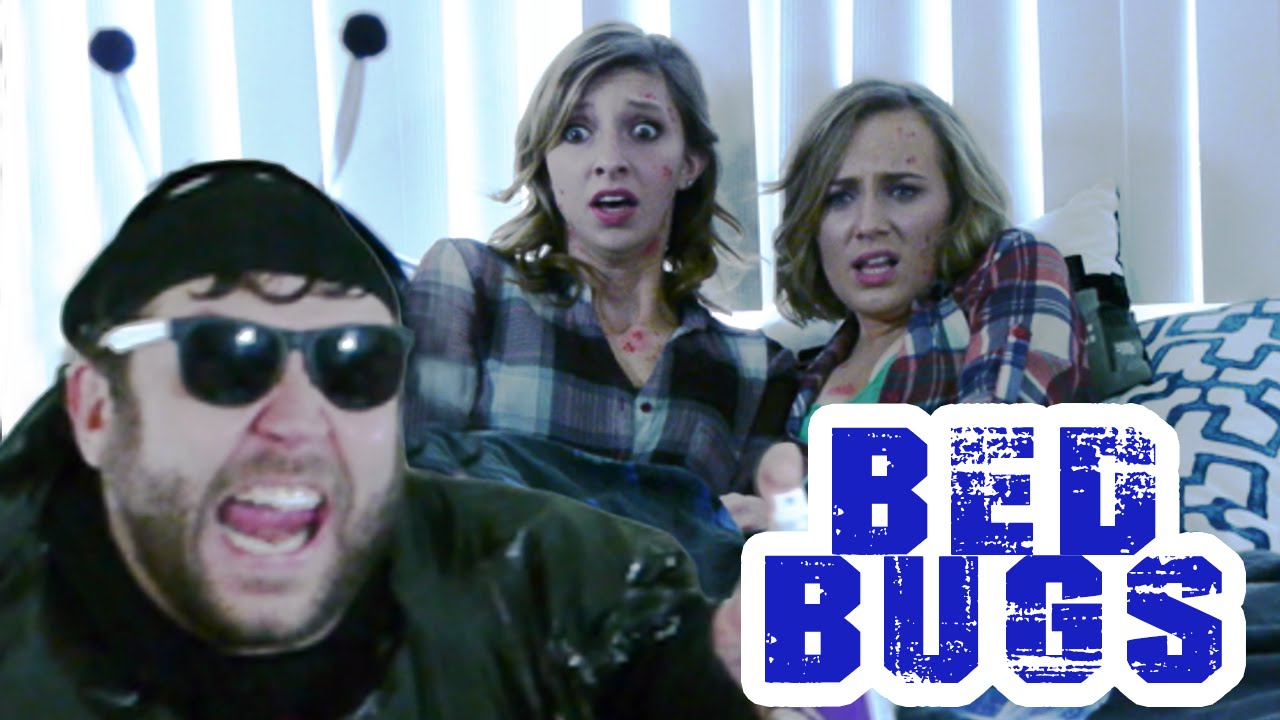 BED BUGS - TAYLOR SWIFT'S 