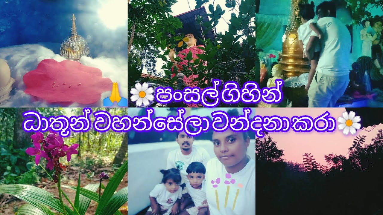 දවස් හතරකට පස්සෙ ගෙදර ආපු දා තිබුණ වැඩ ටිකක්...  #withkids