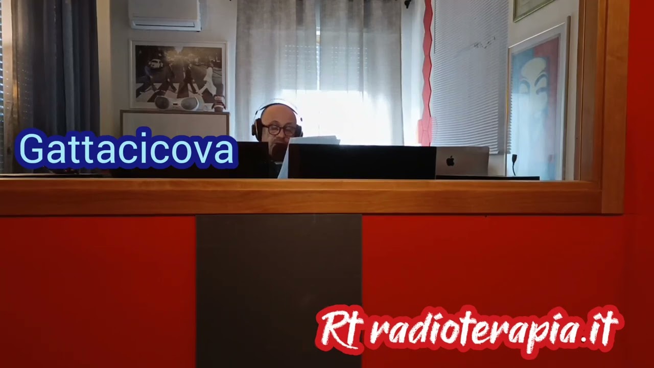 Politica, il sistema parlamentare irlandese 