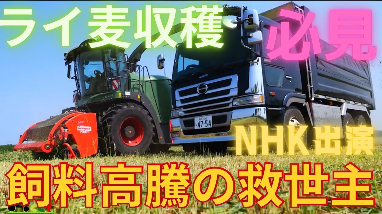 【NHKに出演】飼料高騰の救世主！ライ麦で耕畜連携国内飼料増産　KATANA2022年初作業は、音更町のライ麦収穫で、テレビに登場！NHK2022年6月７日放送ほっとニュースぐるっと道東！のロケ隊が！