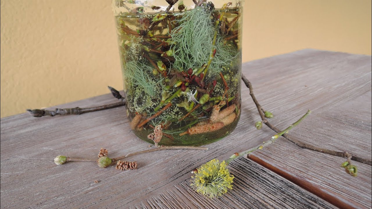 Bauern-Propolis selbst machen