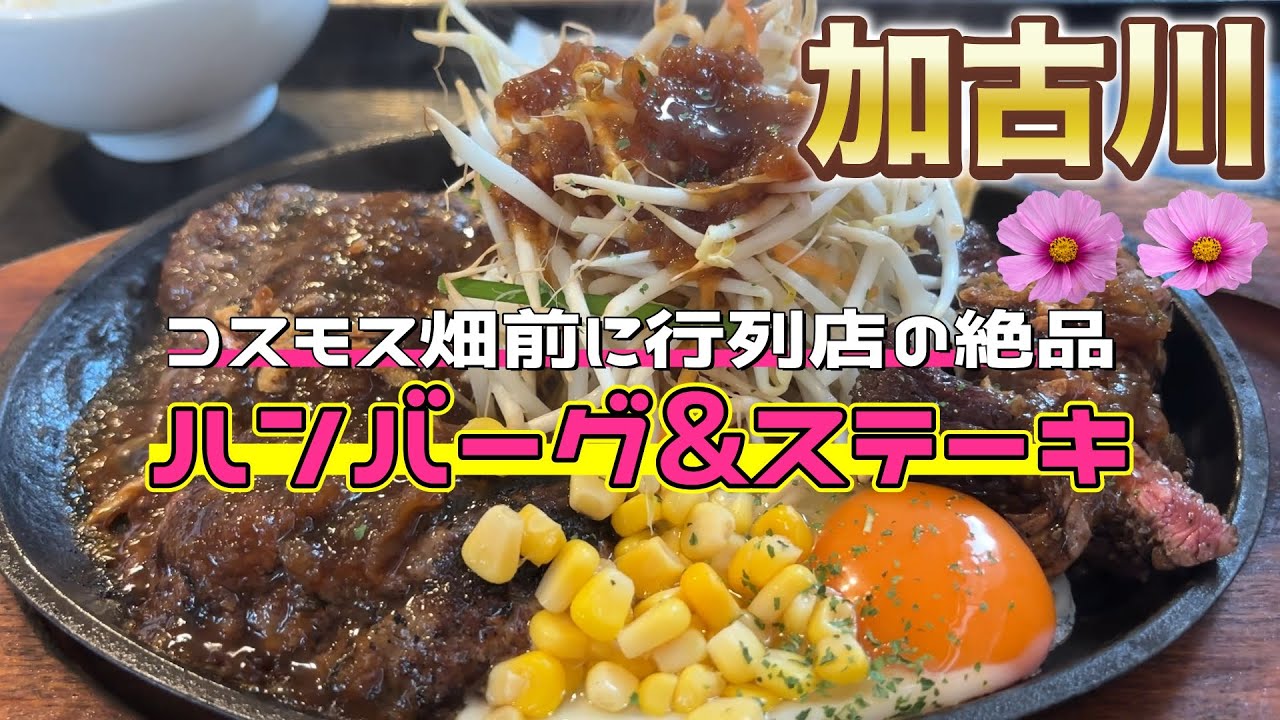 【加古川ランチ】大人気行列店の炭火焼きハンバーグ&ステーキ