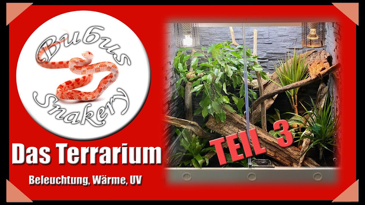 Kornnatter Terrarium TEIL 3 - Beleuchtung, Wärmelampen, UV