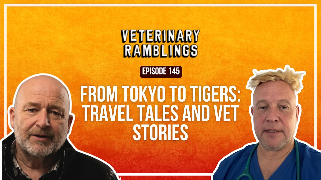 From Tokyo to Tigers: Travel Tales and Vet Stories