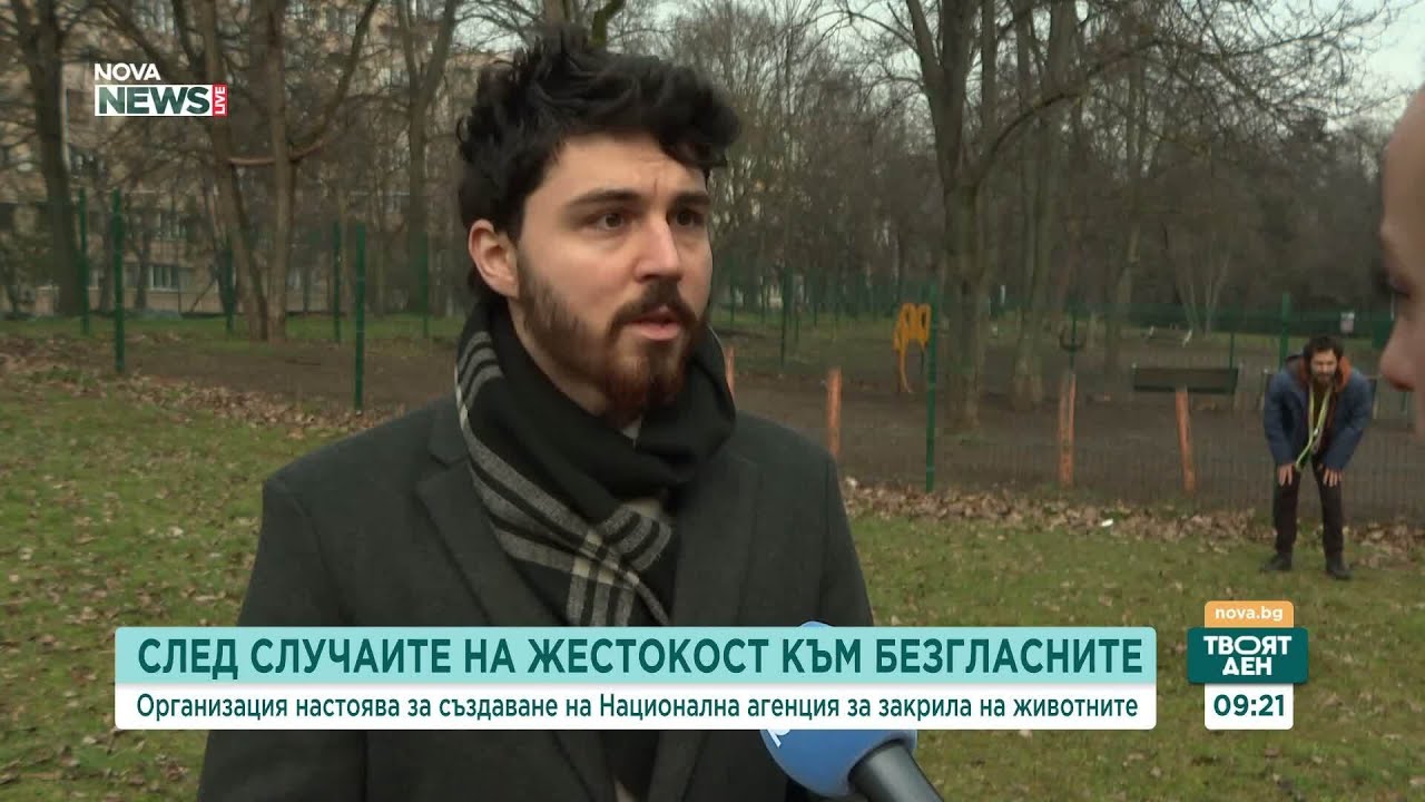 „Невидими животни“ настоява за създаване на Национална агенция за закрила на животните