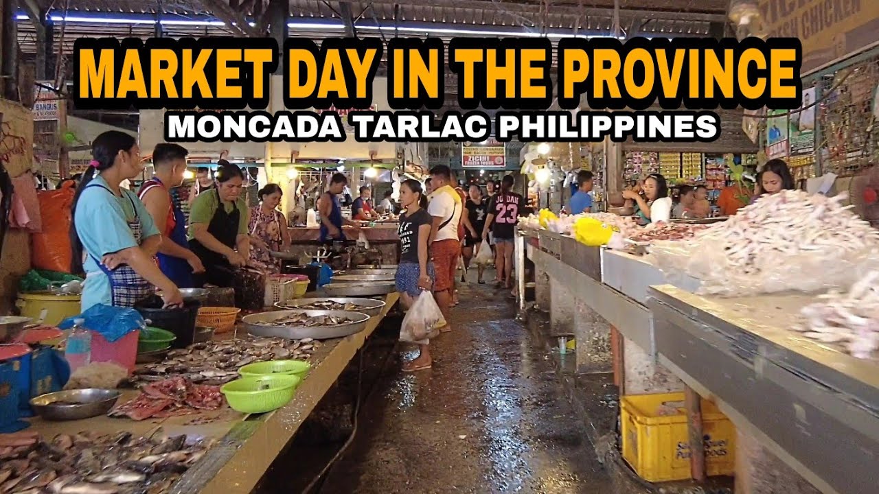 STREET FOOD AND MARKET DAY IN MONCADA PUBLIC MARKET|TARLAC PHILIPPINES [4k] walking tour