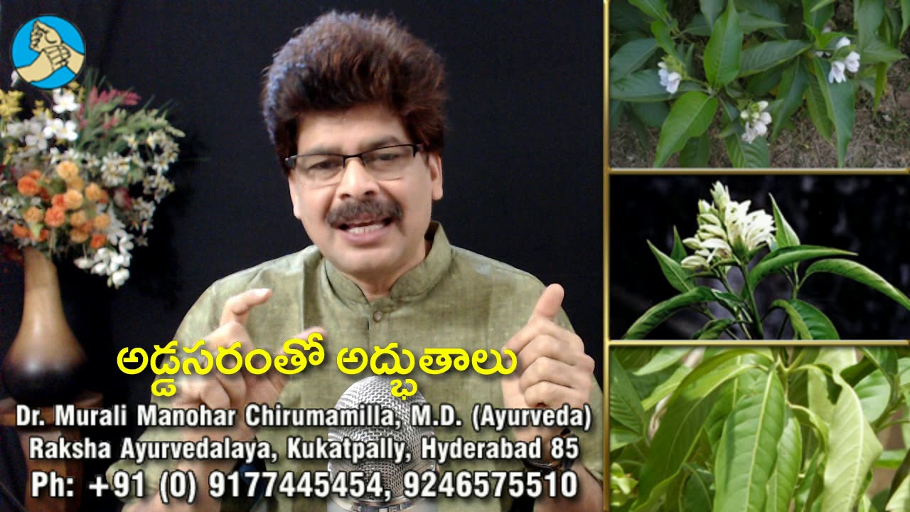 ఈ మొక్క మీ ఆయాసాన్ని, దగ్గును తగ్గిస్తుంది | Medicinal uses of Vasica plant in Telugu