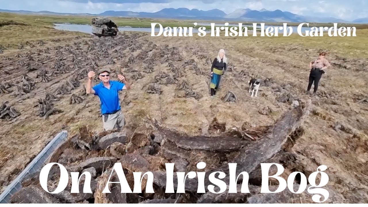 On an Irish Bog!