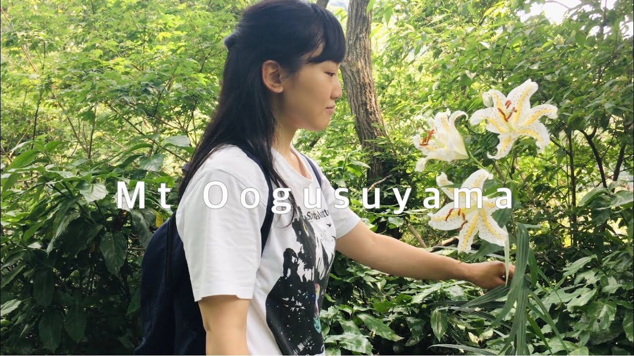 【Hiking】Mt. Ogusu. The highest peak on the Miura Peninsula. One-day hiking. The view is the best!