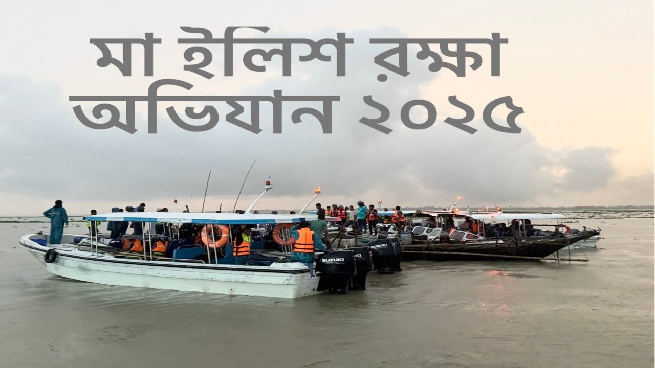 মা ইলিশ সংরক্ষণ অভিযান ২০২৫ #ilish #ilishmach #mailish #bd