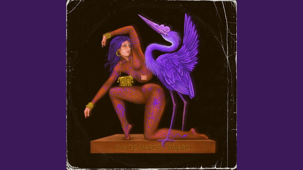 P&aacute;jaro